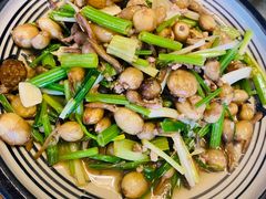 小茨菇-金必轩(青岩店)