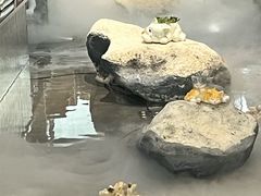 -将太无二·北美传奇寿司(荟聚购物中心西红门店)