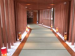 -重庆南山海昌汤都