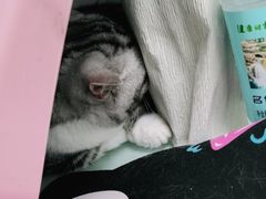 -宠福鑫康馨动物医院·骨科·眼科