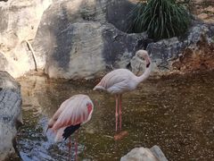-昆明动物园