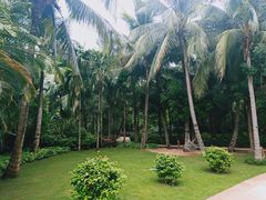 -三亚湾海居铂尔曼度假酒店