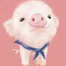 -比亚森自助烤肉料理(裕华店)