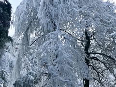 -南岳衡山风景名胜区-南岳大庙