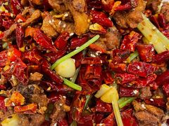 -巴依老爷新疆美食(望京小街店)