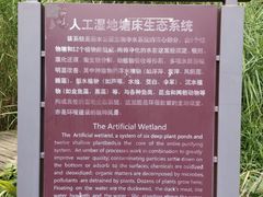 -成都市活水公园