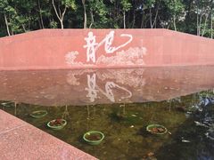 -上海市龙华烈士陵园