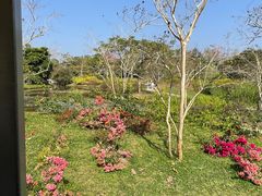 -中国科学院西双版纳热带植物园
