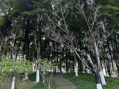 -重庆中央公园(渝北区)