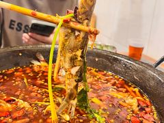 -鸿顺老铁锅美蛙鱼府(解放碑店)