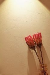 -姜美堂·蒸姜除湿の纤体美颜馆
