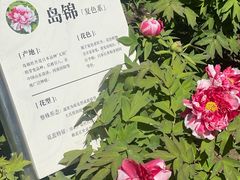 -太阳宫公园
