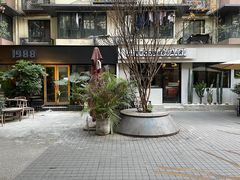 -泡桐树街