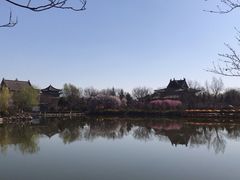 -大槐树寻根祭祖园