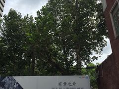 -徐汇艺术馆