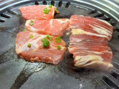 -猫爪爪原切自助烤肉(观音桥阳光世纪店)