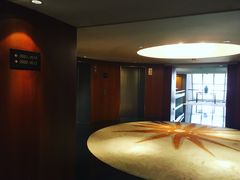 -新加坡文华东方酒店