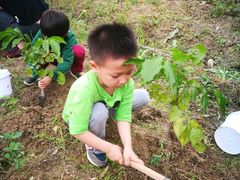 -森波拉火山温泉