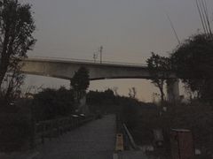 -白鹭湾湿地公园