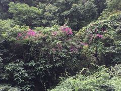 -白云山索道-售票处