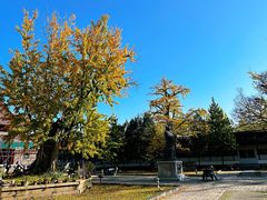 -苏州碑刻博物馆