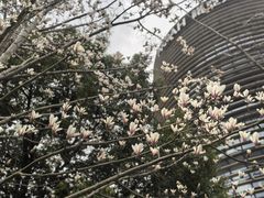 -诺亚财富中心