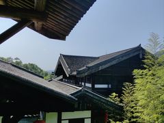 -大唐贡茶院