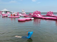 -碧海金沙