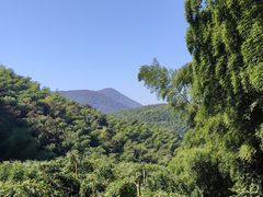 -藏龙百瀑风景区