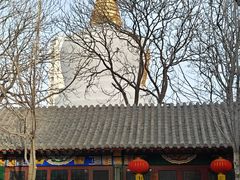 -护国法轮寺