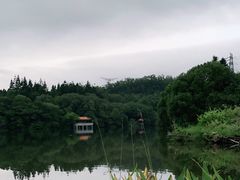 -深圳仙湖植物园