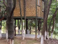 android_upload_pic-象山森林公园