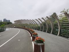-深圳湾公园(南山区)