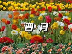 -沉浸北京·团建旅行·密室剧本杀·年会会议轰趴拓展