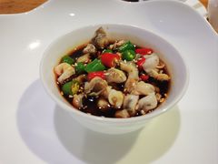 -茗醉园茶楼
