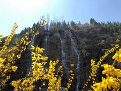 -黄花溪