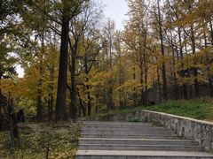 -阳台山自然风景区