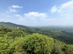 -紫金山天文台