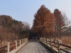-苏州太湖国家湿地公园
