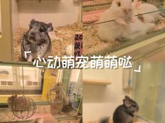 -龙猫仔乐园(惠福东路店)