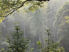 -杭州植物园