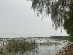 -阳澄湖费尔蒙酒店颐丰阁中餐厅(马鞍山西路店)