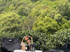 -龙坞茶村