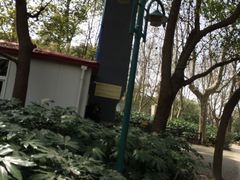-共青国家森林公园-售票处