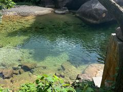 -姑婆山旅游区