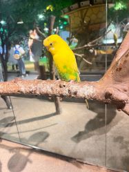 -酷嗒动物文化乐园(cutezoo西溪乐天城店)