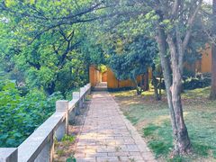 -苏州上方山国家森林公园