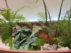 -糖糖屋•糖水•雪花冰店(时尚天河店)