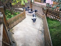 -三分地生态园·儿童乐园