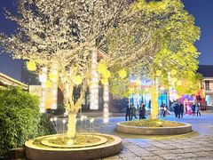 -青果巷历史文化街区